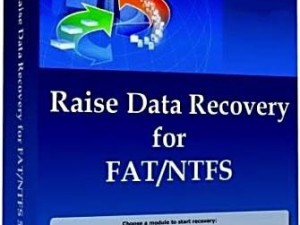 Raise Data Recovery -  11